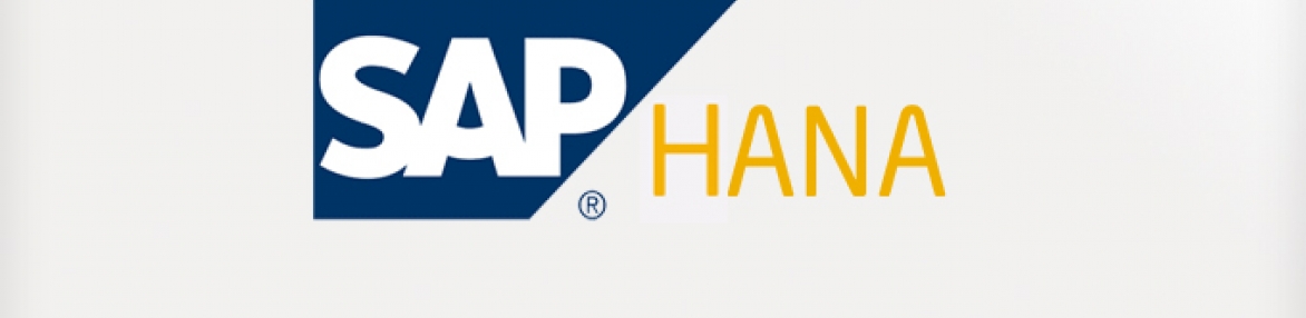 Семинар: SAP HANA &amp; Big Data Technologies