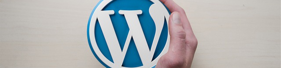 Курс “Създаване на сайтове с WordPress”  WordPress за начинаещи + основи на SEO Оптимизацията